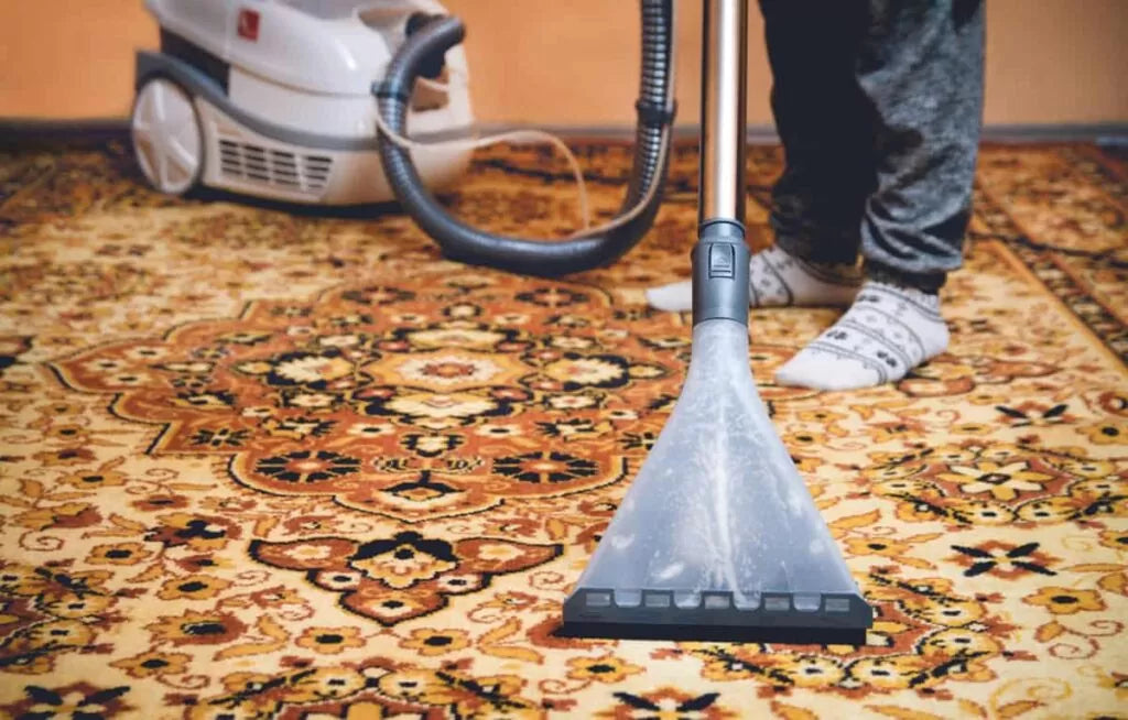 Rug Care 101: Essential Tips for Maintaining Different Types of Rugs
